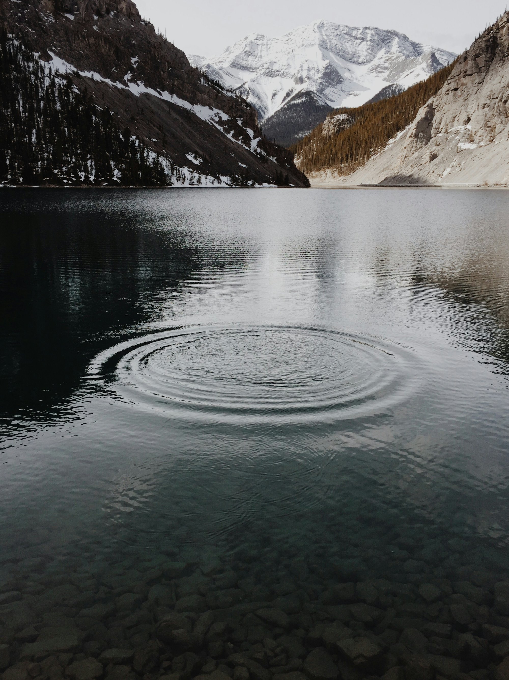A still mountain lake near Canmore, Alberta, with ripples spreading across the surface and snow-covered peaks behind.
