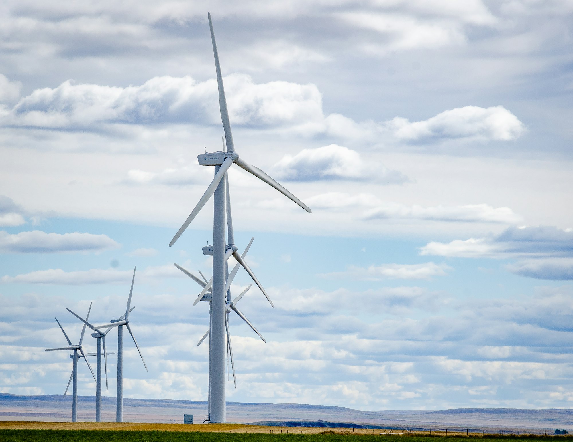 A row of white wind turbines on open grassland in southern Alberta under a cloudy sky.